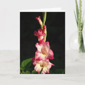 Mag Ihr Herz, Gladiola froh sein Karte (Vorderseite)