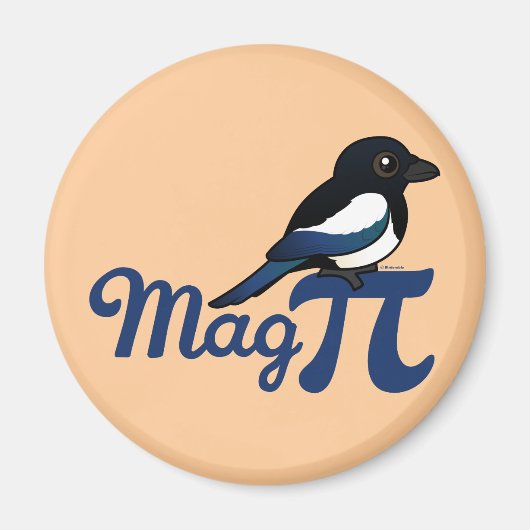 Mag PI Magnet (Vorne)