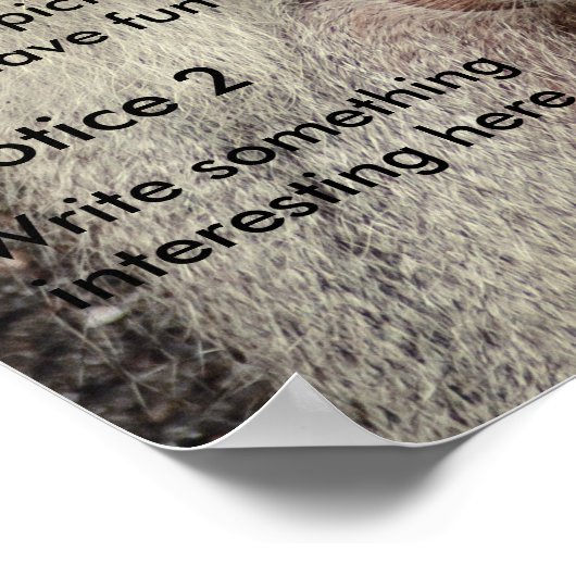 Magazine Cover Poster (Ecke)