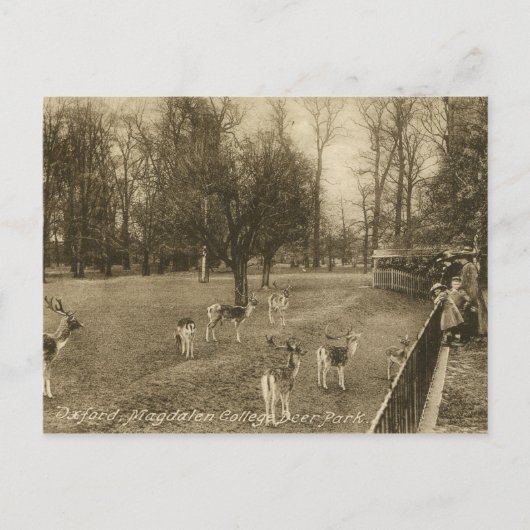 Magdalen Uni, Oxford, England Vintag Postkarte (Vorderseite)