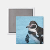 Magellan-Pinguin-Magnet Magnet (Vorderseite/Rückseite)