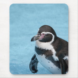 Magellan-Pinguin-Mauspad Mousepad