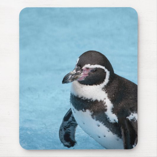 Magellan-Pinguin-Mauspad Mousepad (Vorne)