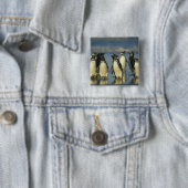 Magellan-Pinguine, Spheniscus Button (Beispiel)