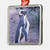 Magellanic Penguin auf der Halbinsel Valdes - Pata Ornament Aus Metall (Links)