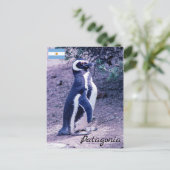 Magellanic Penguin auf der Halbinsel Valdes - Pata Postkarte (Stehend Vorderseite)