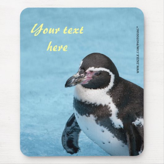 Magellanic Penguin Mousepad (Vorne)