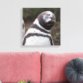 Magellanic Penguin Portrait Leinwanddruck (Insitu (Wohnzimmer))