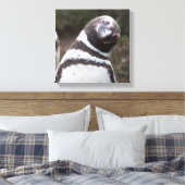 Magellanic Penguin Portrait Leinwanddruck (Insitu (Schlafzimmer))
