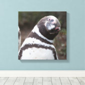 Magellanic Penguin Portrait Leinwanddruck (Insitu (Holzboden))