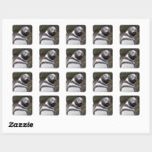 Magellanic Penguin Portrait Quadratischer Aufkleber (Blatt)