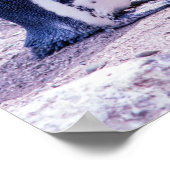 Magellanic Pinguin in Halbinsel Valdes - Argentini Poster (Ecke)