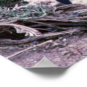 Magellanic Pinguin in Halbinsel Valdes - Argentini Poster (Ecke)
