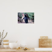Magellanic Pinguin in Halbinsel Valdes - Argentini Poster (Küche)