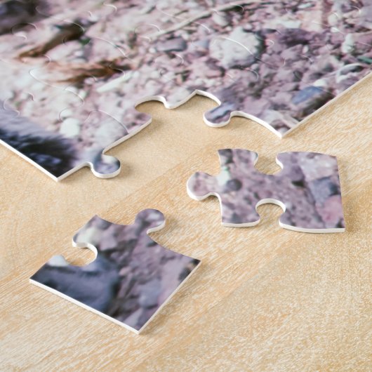 Magellanic Pinguin in Halbinsel Valdes - Argentini Puzzle (Seite)