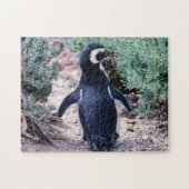 Magellanic Pinguin in Halbinsel Valdes - Argentini Puzzle (Horizontal)