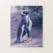 Magellanic Pinguin in Halbinsel Valdes - Argentini Puzzle (Vertikal)
