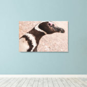 Magellanic Pinguin, Patagonia, Argentinien Leinwanddruck (Insitu (Holzboden))