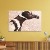 Magellanic Pinguin, Patagonia, Argentinien Leinwanddruck (Insitu (Wohnzimmer))