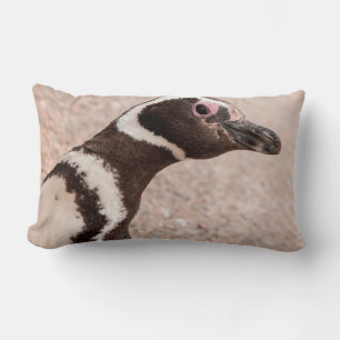 Magellanic Pinguin, Patagonia, Argentinien Lendenkissen