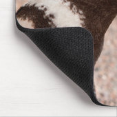 Magellanic Pinguin, Patagonia, Argentinien Mousepad (Ecke)