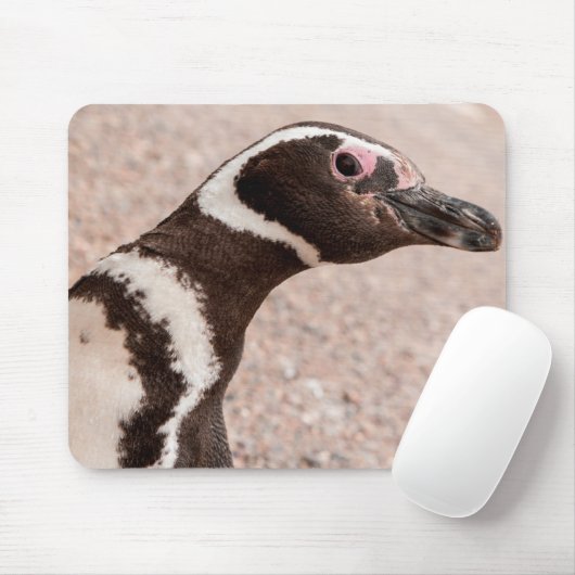 Magellanic Pinguin, Patagonia, Argentinien Mousepad (Mit Mouse)