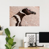 Magellanic Pinguin, Patagonia, Argentinien Poster (Heimbüro)