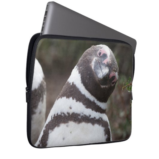 Magellanic Pinguin-Porträt Laptopschutzhülle (Vorne Rechts)