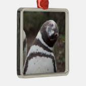 Magellanic Pinguin-Porträt Silbernes Ornament (Rechts)