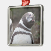 Magellanic Pinguin-Porträt Silbernes Ornament (Links)