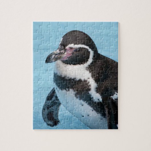 Magellanic Pinguin Puzzle (Vertikal)
