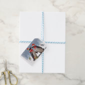 Magellanic Weihnachtsgeschenke Tags Geschenkanhänger (Mit Garn)