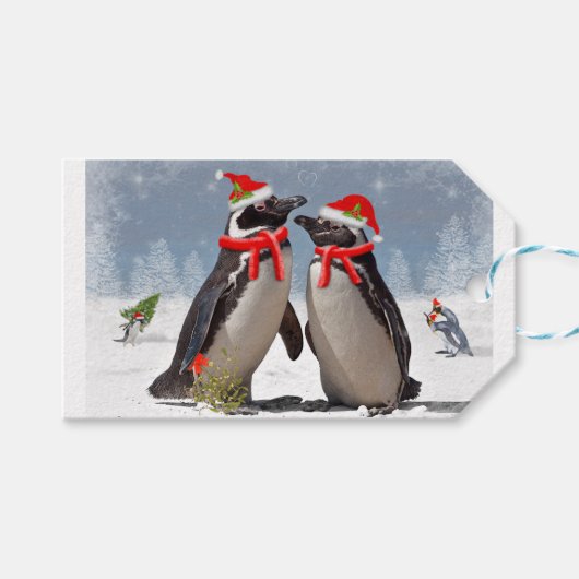 Magellanic Weihnachtsgeschenke Tags Geschenkanhänger (Vorderseite (Horizontal))