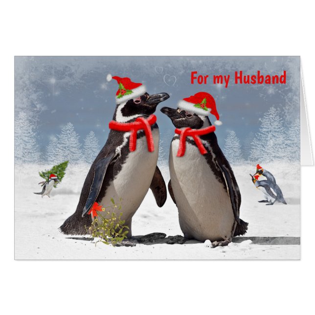 Magellanic Weihnachtskarte HUSBAND (Vorderseite (Horizontal))