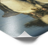 Magellanische Pinguine, Spheniskus Fotodruck (Ecke)