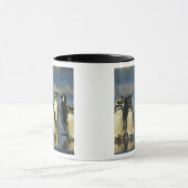 Magellanische Pinguine, Spheniskus Tasse (Zentrum)