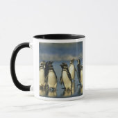 Magellanische Pinguine, Spheniskus Tasse (Links)