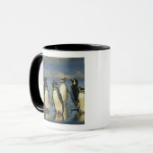 Magellanische Pinguine, Spheniskus Tasse (Vorderseite Links)
