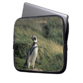 Magellanischer Penguin (Spheniscus magellanicus), Laptopschutzhülle (Vorderseite Links)