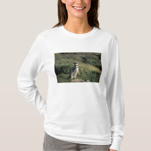 Magellanischer Penguin (Spheniscus magellanicus), T-Shirt