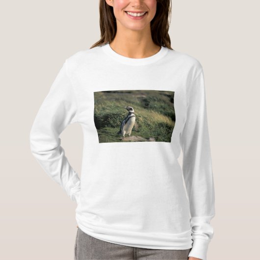 Magellanischer Penguin (Spheniscus magellanicus), T-Shirt (Vorderseite)