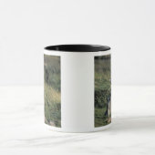 Magellanischer Penguin (Spheniscus magellanicus), Tasse (Zentrum)