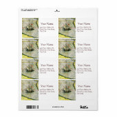 Magellans Schiff Victoria, Antike Karte Pazifische (Vorne)