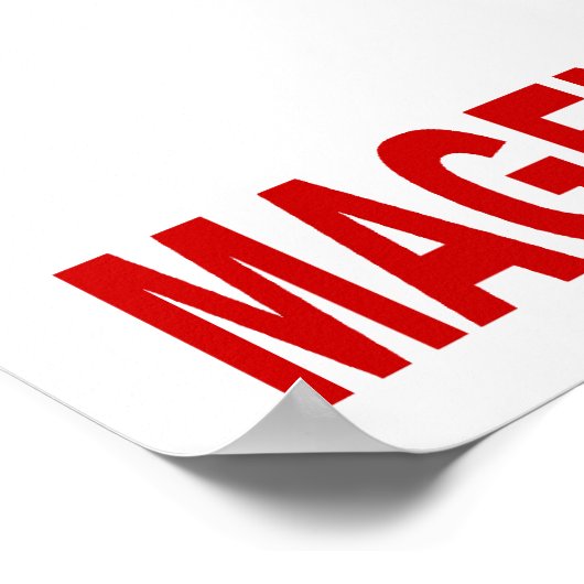 Magen David Adom Light Poster (Ecke)