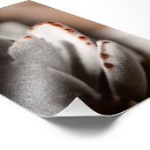 Magengrüner Sukkulat mit braunen Tipps Fotodruck (Ecke)