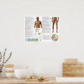 Magenmeridian Akupunkturpunkte Poster (Küche)
