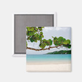 Magens Bay, St. Thomas 2 Inch Square Magnet (Vorderseite/Rückseite)