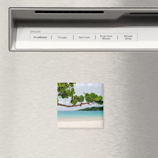 Magens Bay, St. Thomas 2 Inch Square Magnet (In Situ (Geschirrspüler))