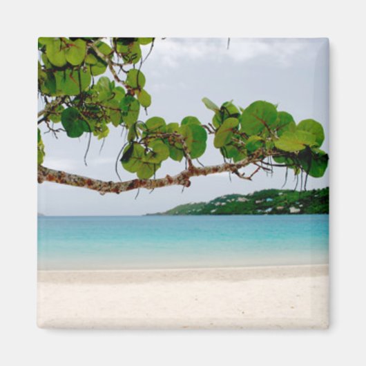 Magens Bay, St. Thomas 2 Inch Square Magnet (Vorne)