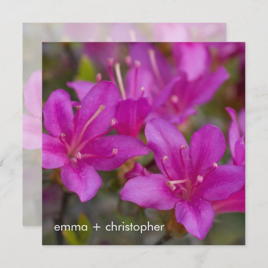 Magenta Azalea DSC1724 Save The Date (Vorne/Hinten)